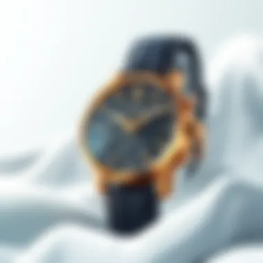 Magnificent The Xeric Watch Company: A Study of Innovation in Horology