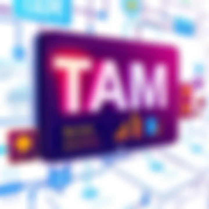 Magnificent Understanding TAM, SAM, and SOM: A Comprehensive Overview