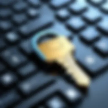 Utilizing Digital Keys for Access An illustration of a digital key for secure access