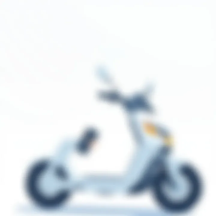 User interacting with a Bird scooter app