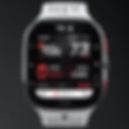 Detailed overview of Under Armour Run Tracker interface