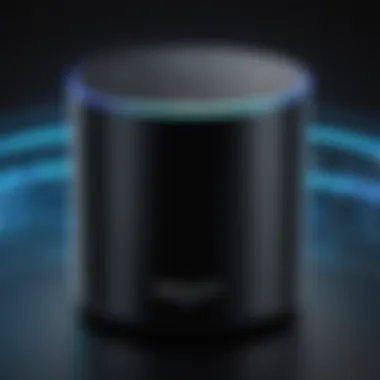 Security features of the Alexa app visualized