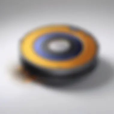 Versatility of Dyson Vacuum Cleaner