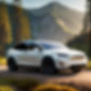 Affordable Tesla Model X in Nature Tesla Model X parked in a scenic environment