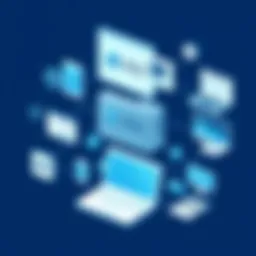 Overview of American Express Digital platforms