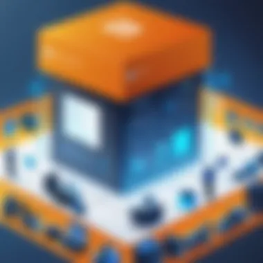The Dynamic Role of Box Developers Conceptual representation of box developers in action