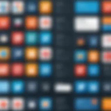 Applications of Brandwatch Social Panels in Various Sectors Infographic detailing applications of social panels in business
