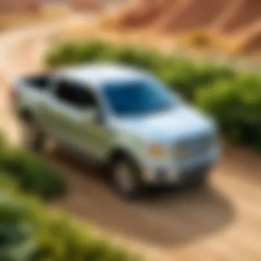 A sustainable landscape with a Ford hybrid pickup truck parked amidst greenery