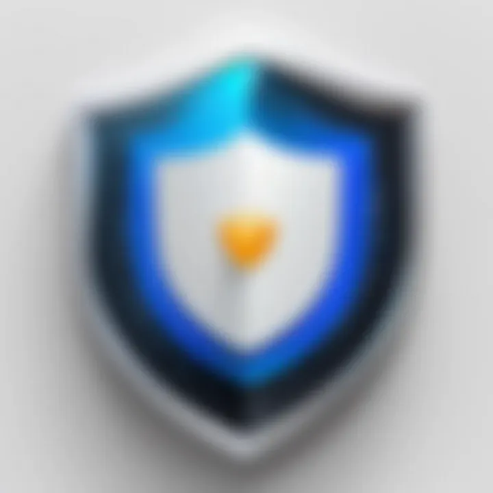 Illustration of a shield representing privacy and security