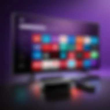 Roku OS 10 User Interface