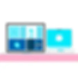 Exploring Skype Lite: An In-Depth Analysis Introduction