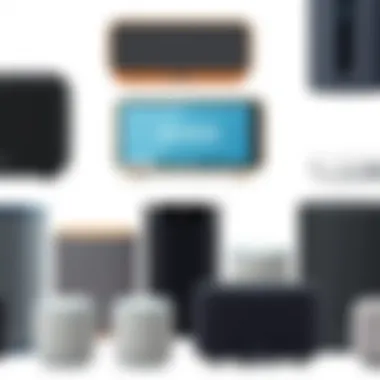 Diverse Designs of Sonos Speakers A collection of Sonos speakers showcasing diverse designs and functionalities