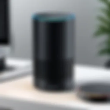 Custom Skill Development for Alexa