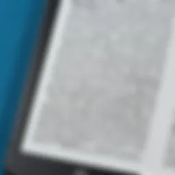 Close-up of a Kindle displaying dictionary feature