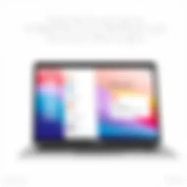 Advanced Customization in Office Apps Customization options in Office applications