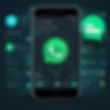 Innovative CRM Interface for WhatsApp Integration