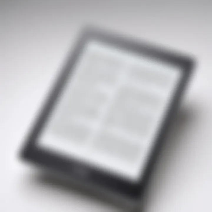 Innovative E-Reader Display Technology