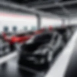 Tesla production facility showcasing assembly line efficiency
