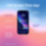 Overview of the iOS Screen Time app interface