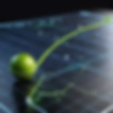 Growth Trajectory Analysis Graph illustrating Lime's growth trajectory.