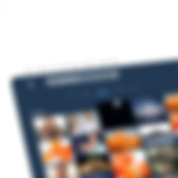 Exploring the Search Functionality User interface showcasing Google Photos search functionality