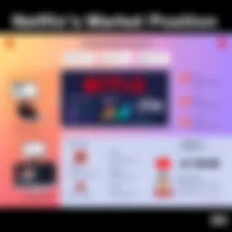 A strategic overview of Netflix's market position