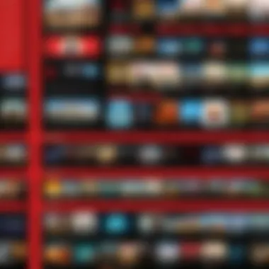 Chronicles of Netflix's Evolution Netflix Evolution Infographic