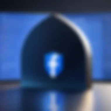 Securing Privacy Online Privacy shield