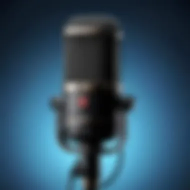 Professional Microphone