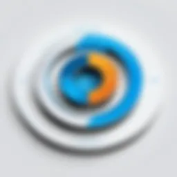 Overview of Ring security protection plans