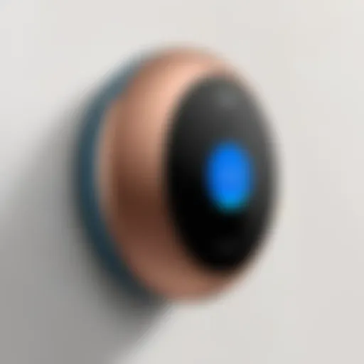 Sleek Design of Nest Doorbell