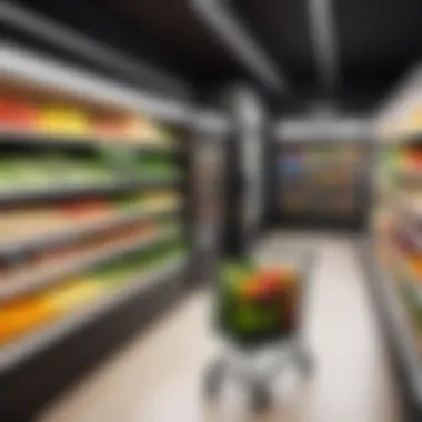 Revolutionizing Grocery Delivery Innovative grocery delivery concept