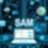 Understanding TAM, SAM, and SOM: A Comprehensive Overview Introduction