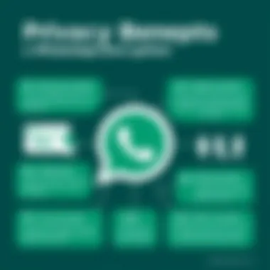 Privacy Benefits of WhatsApp Encryption Infographic on user privacy benefits of WhatsApp encryption