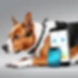 Innovative pet health monitoring device