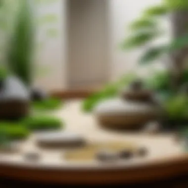 Tranquil Zen Garden Zen Garden